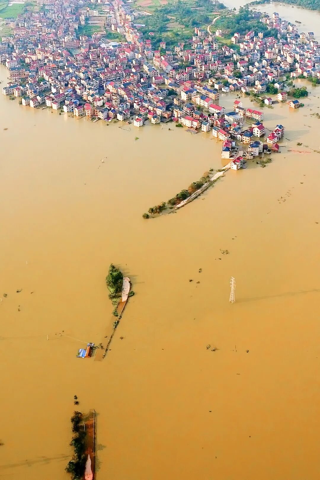 Image related to Visit Jiangxi for Poyang Lake!