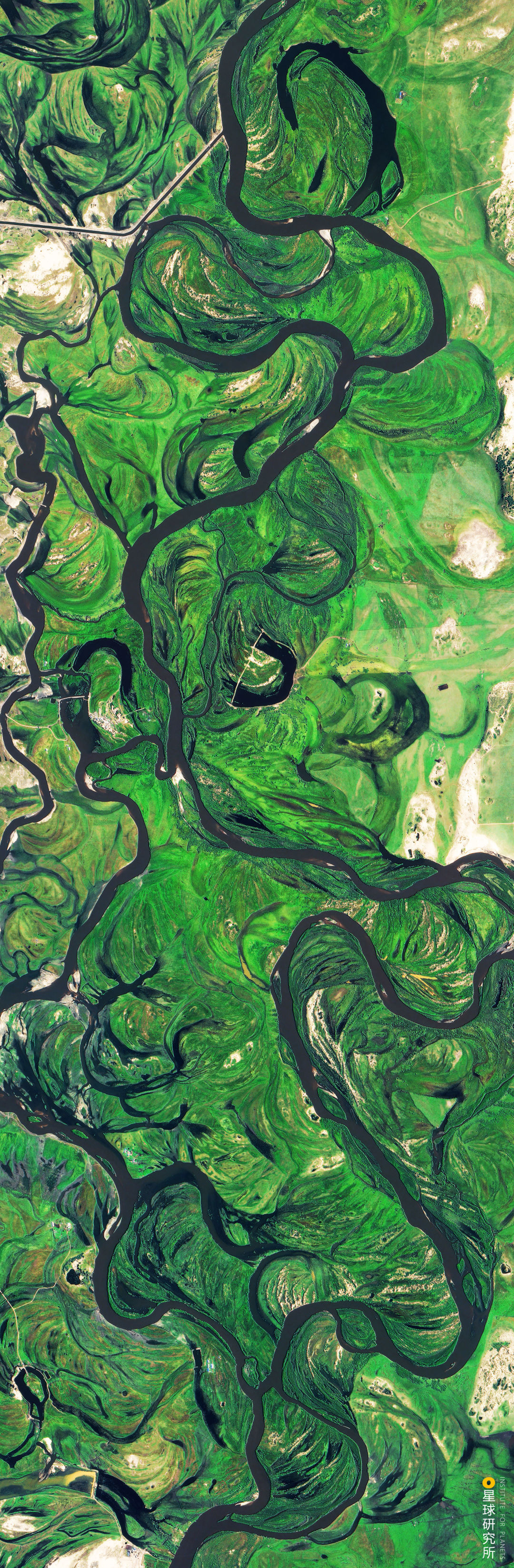 Image related to Explore China's Wetlands: A Journey Through Nature's Wonders