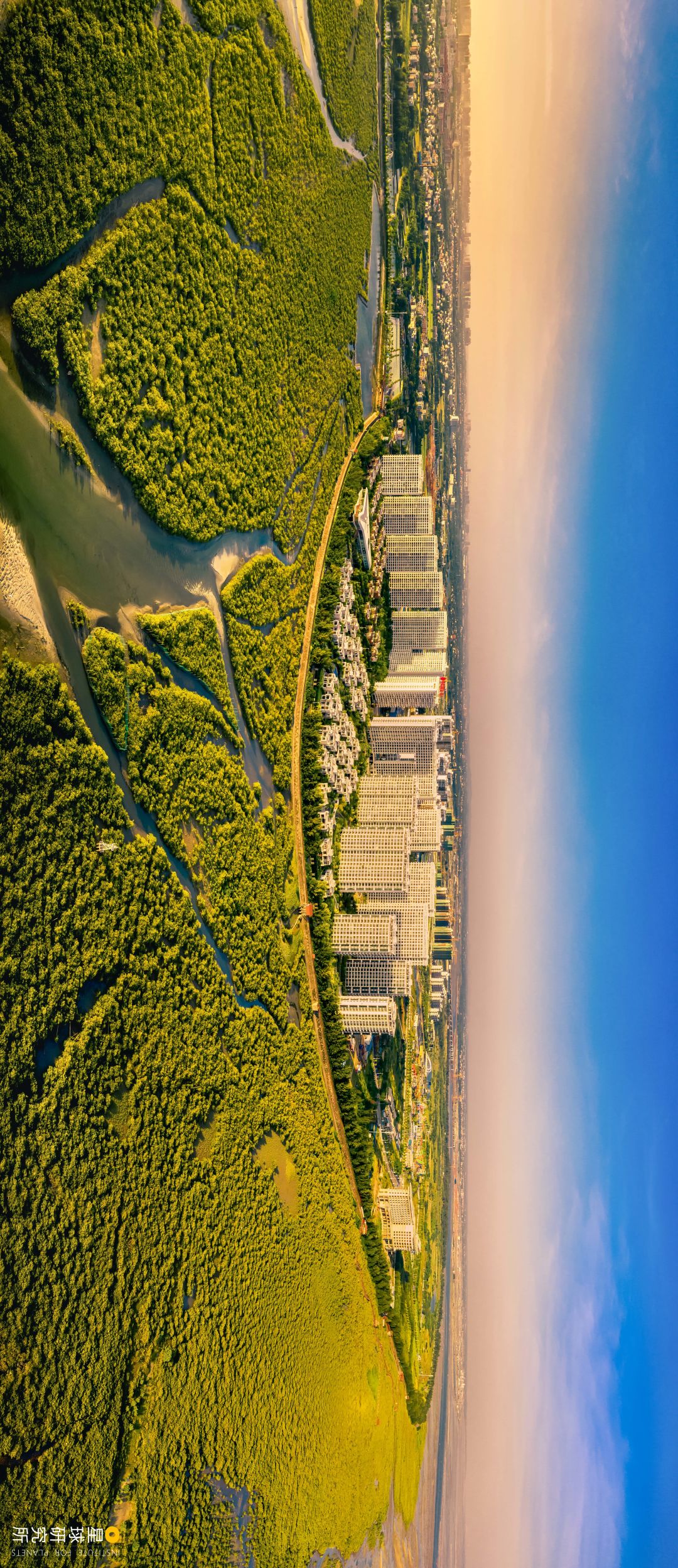 Image related to Explore China's Wetlands: A Journey Through Nature's Wonders