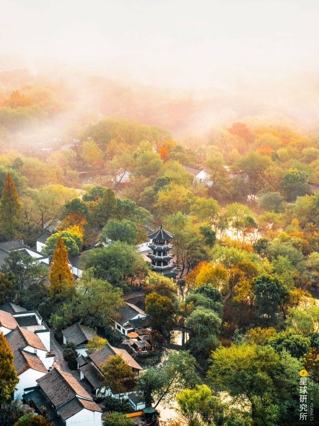 Image related to Explore China's Wetlands: A Journey Through Nature's Wonders