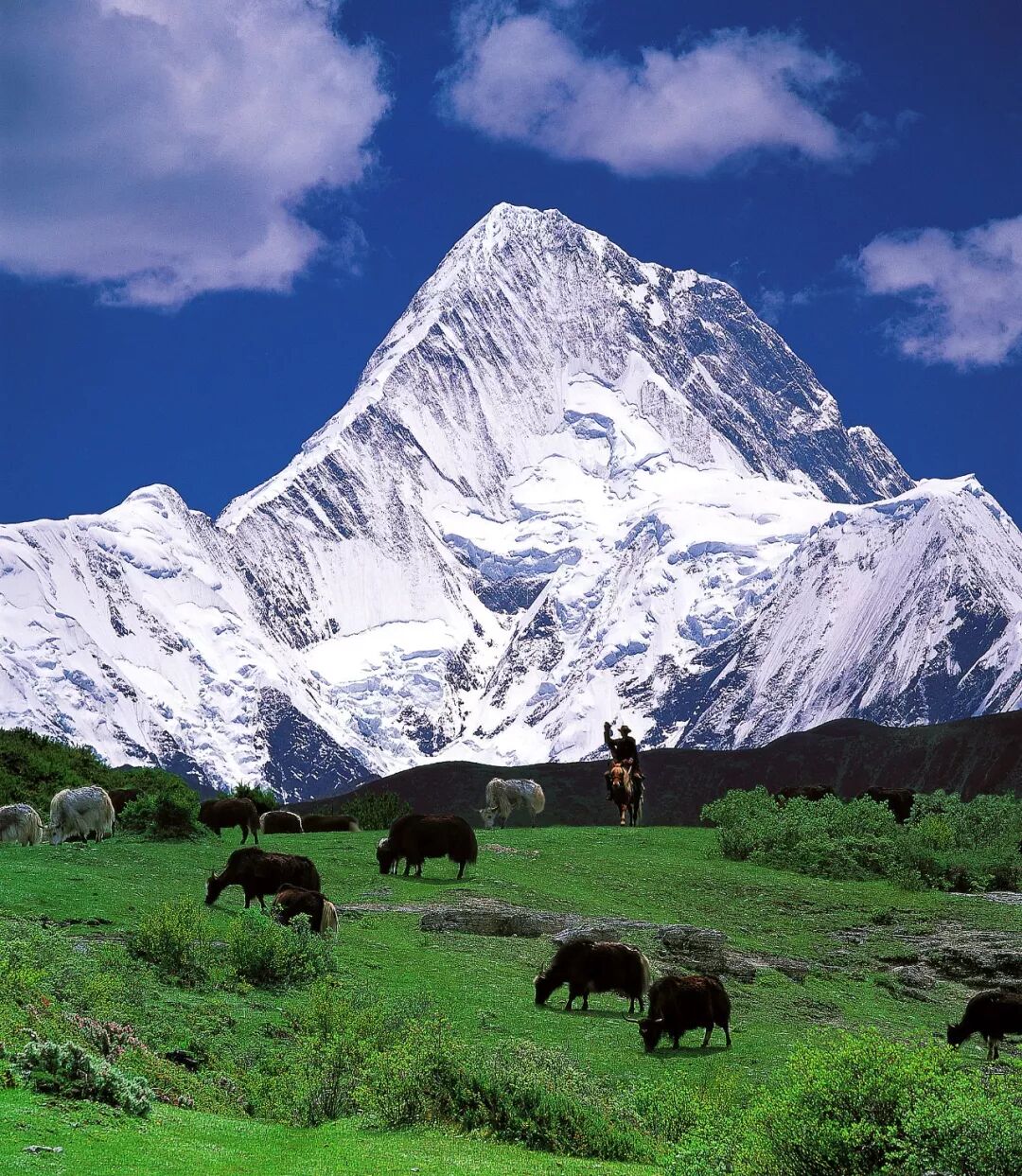 Image related to How Many Wonders Does the Hengduan Mountains Hold?