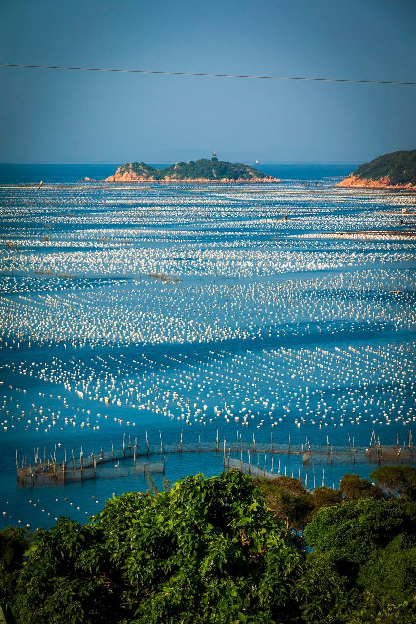 Image related to Zhanjiang: A Seafood Paradise That Will Blow Your Mind! Stunning Sea Views Rivaling Sanya + Mouthwatering Delights to Wow Your Feed – Worth the Trip for Food Alone