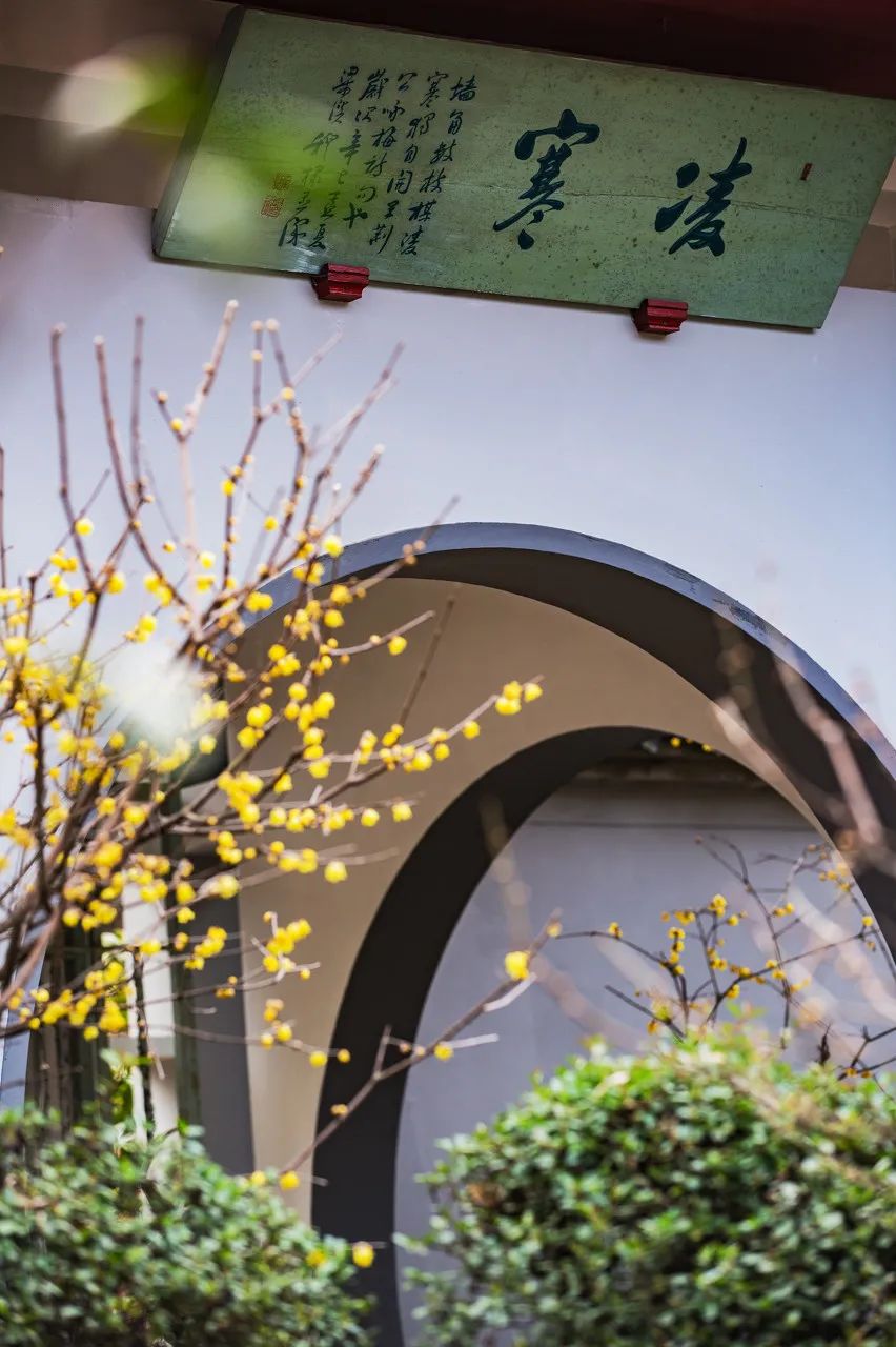 Image related to Zhuhai: China's Most Affluent "Belle" Rivaling Suzhou and Hangzhou in Beauty, Perfect for a Serene Getaway This March