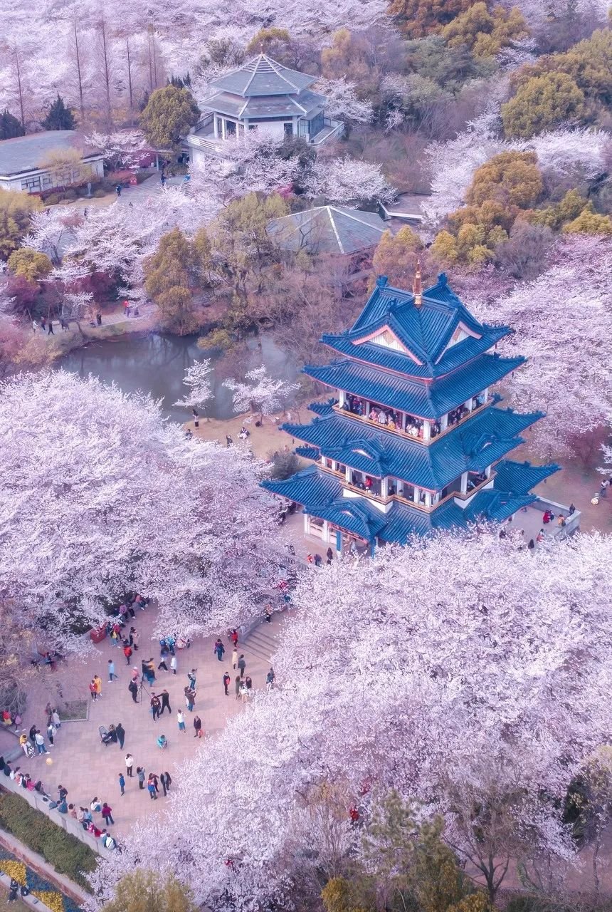 Image related to Zhuhai: China's Most Affluent "Belle" Rivaling Suzhou and Hangzhou in Beauty, Perfect for a Serene Getaway This March