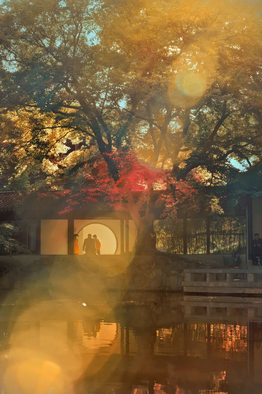 Image related to Zhuhai: China's Most Affluent "Belle" Rivaling Suzhou and Hangzhou in Beauty, Perfect for a Serene Getaway This March