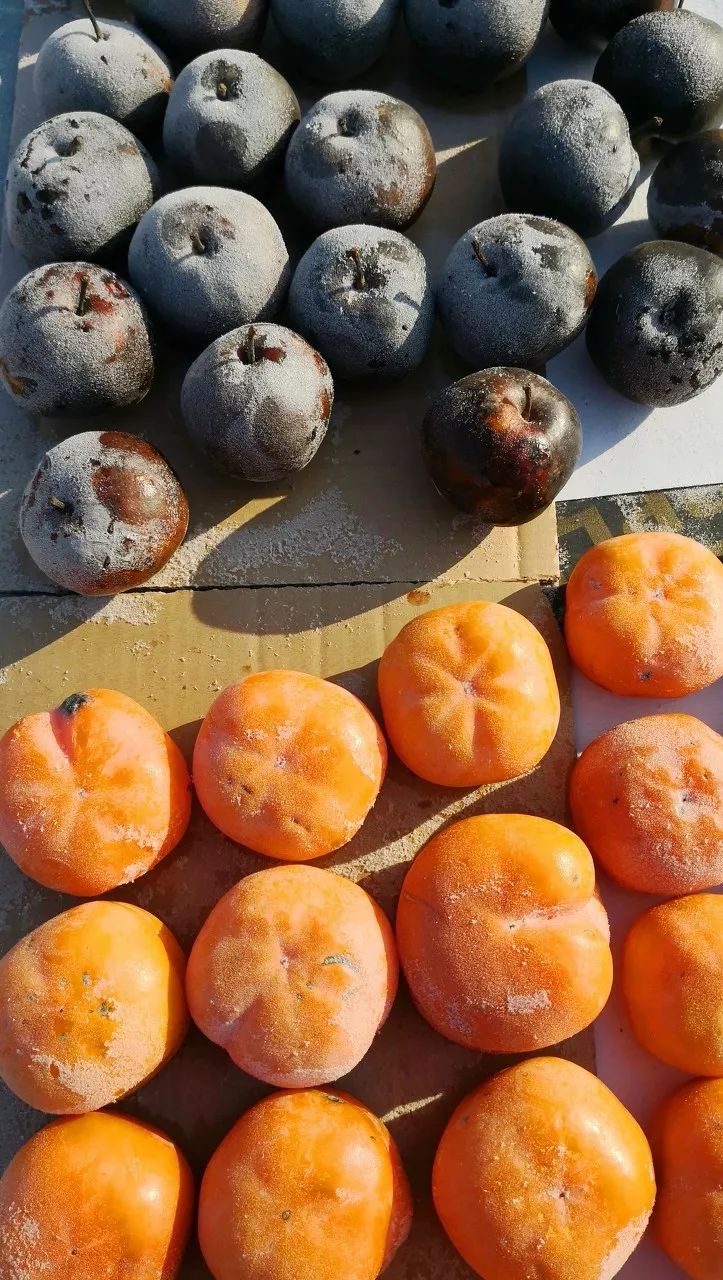 Image related to Harbin: The Ice-Snow Legend of the Oriental Paris! Central Avenue & St. Sophia Cathedral – A Farewell of 120,000 in Northeast China's Past