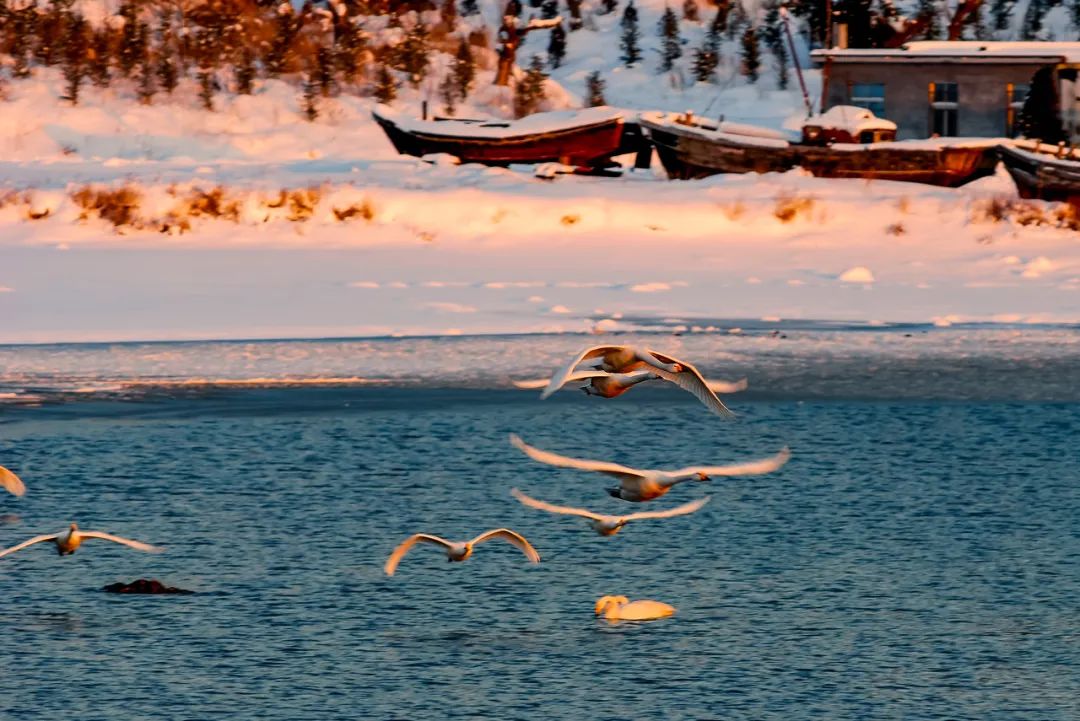 Image related to Weihai: The Most Romantic Winter Seaside City in Northern China with Snow, Mountains, Sea, and Delicious Food