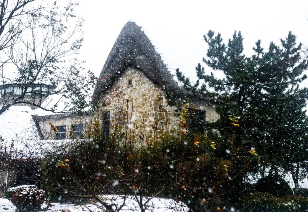 Image related to Weihai: The Most Romantic Winter Seaside City in Northern China with Snow, Mountains, Sea, and Delicious Food