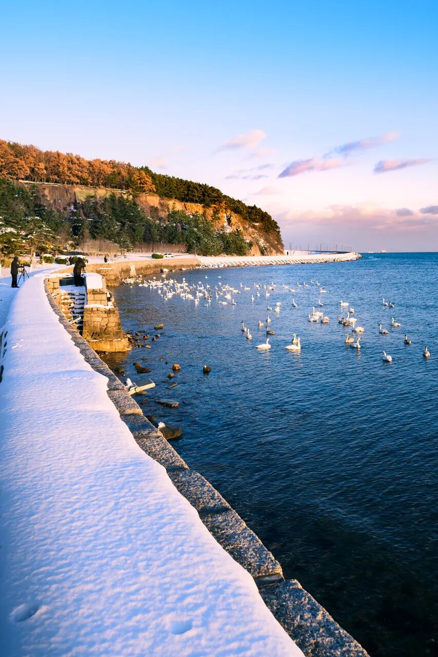 Image related to Weihai: The Most Romantic Winter Seaside City in Northern China with Snow, Mountains, Sea, and Delicious Food