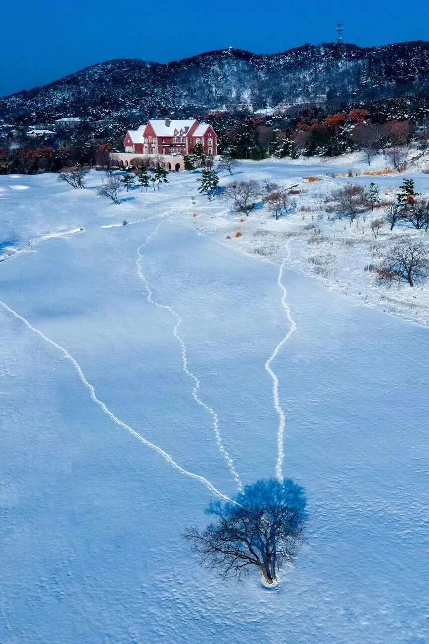 Image related to Weihai: The Most Romantic Winter Seaside City in Northern China with Snow, Mountains, Sea, and Delicious Food