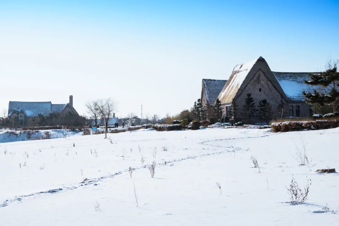 Image related to Weihai: The Most Romantic Winter Seaside City in Northern China with Snow, Mountains, Sea, and Delicious Food
