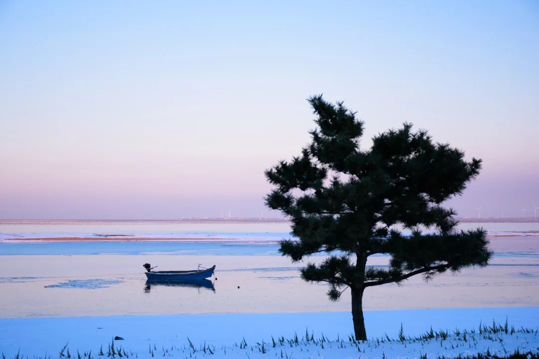 Image related to Weihai: The Most Romantic Winter Seaside City in Northern China with Snow, Mountains, Sea, and Delicious Food