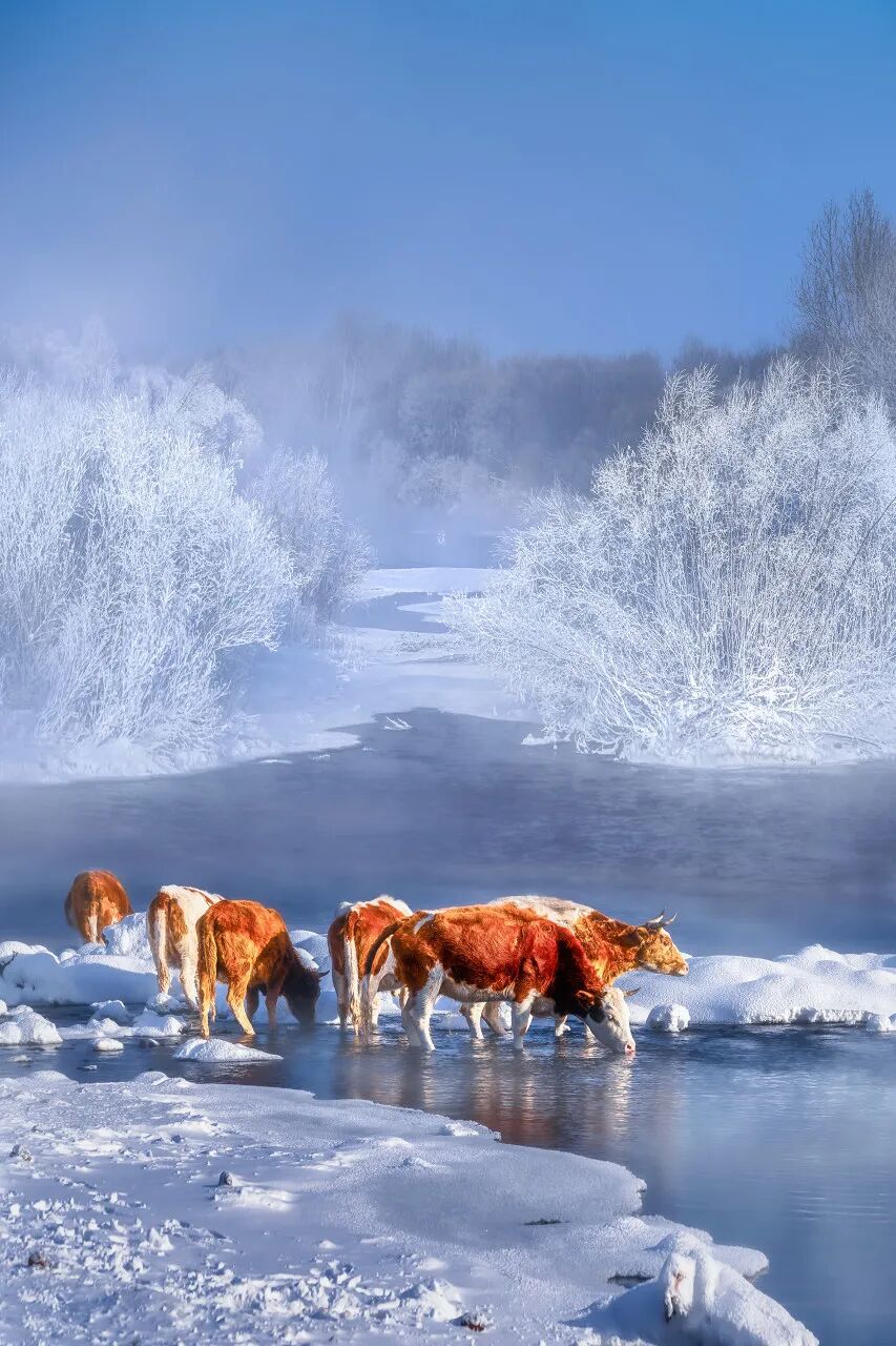 Image related to Arshan, Inner Mongolia: China's Most Enchanting Frontier Town