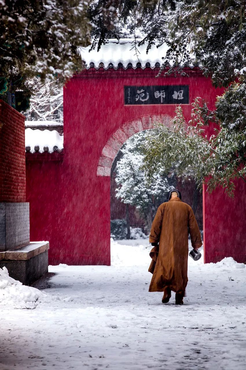 Image related to Luoyang: Ancient Capital Adorned with Fragrant Peonies, Recommended by China's Foreign Ministry to the World