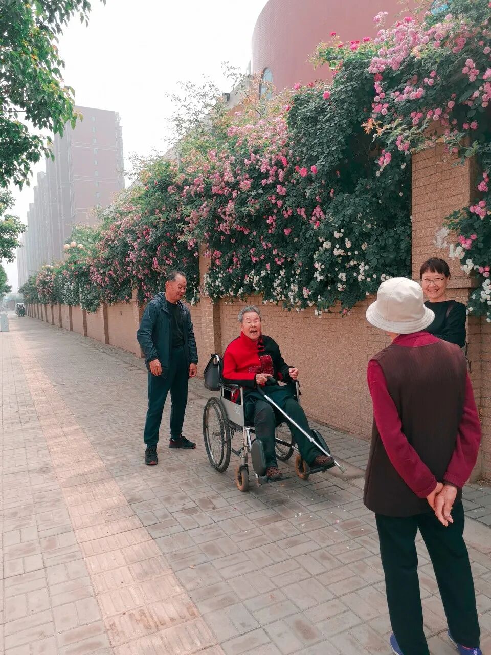 Image related to Luoyang: Ancient Capital Adorned with Fragrant Peonies, Recommended by China's Foreign Ministry to the World
