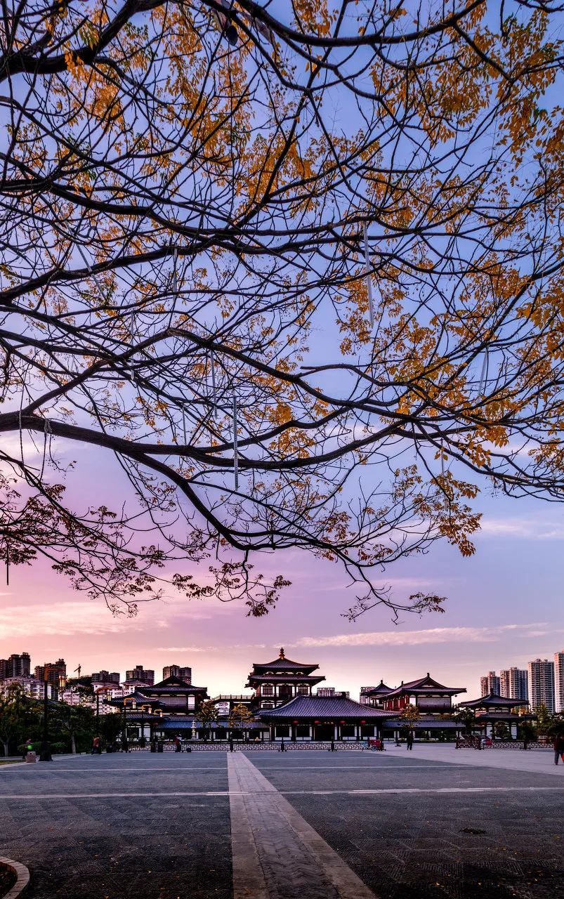 Image related to Luoyang: Ancient Capital Adorned with Fragrant Peonies, Recommended by China's Foreign Ministry to the World