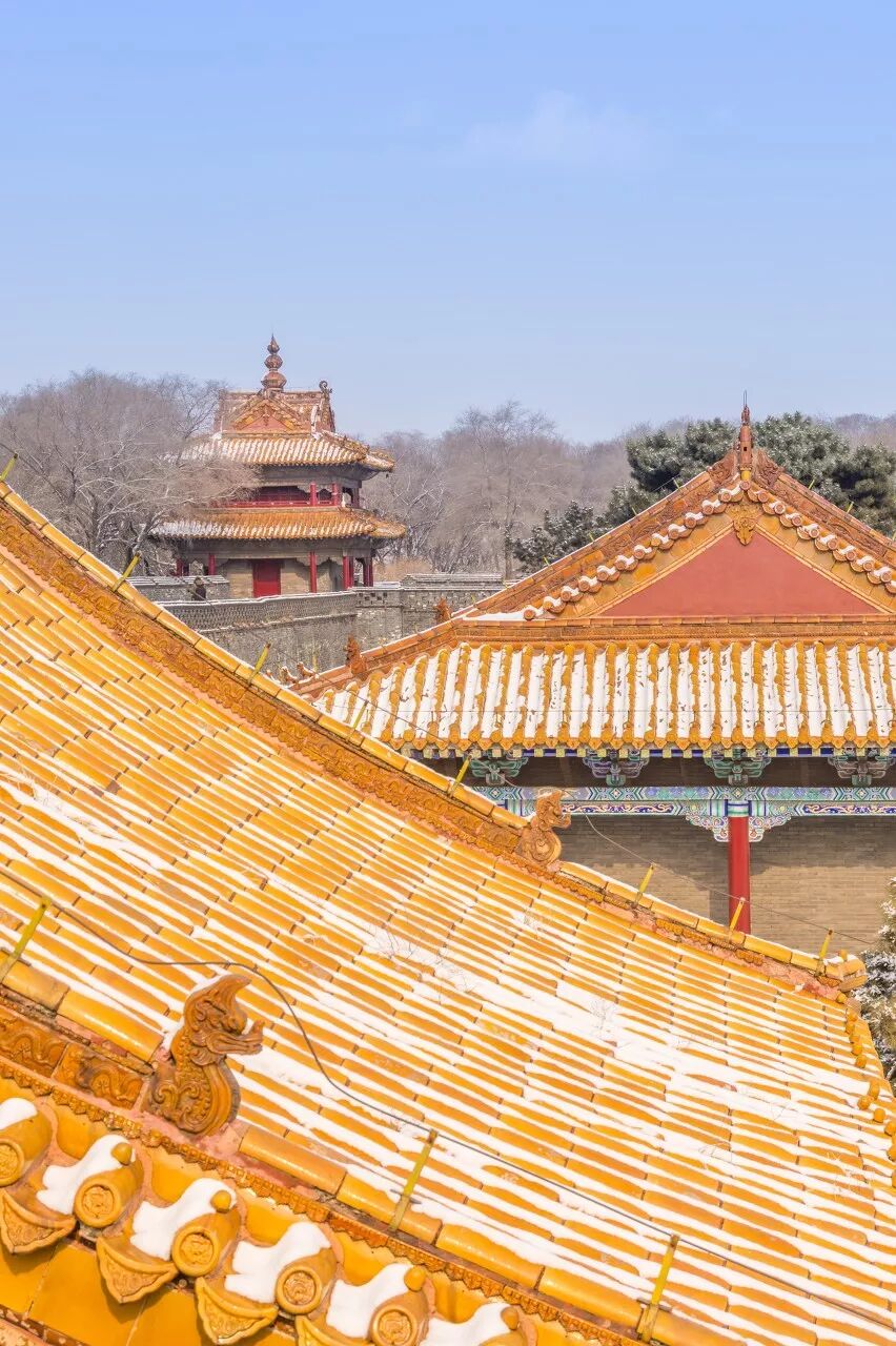 Image related to Shenyang: The Epicenter of Northeastern Indulgence – Scrub Baths, BBQ, and Bling, the Ultimate Dongbei Experience