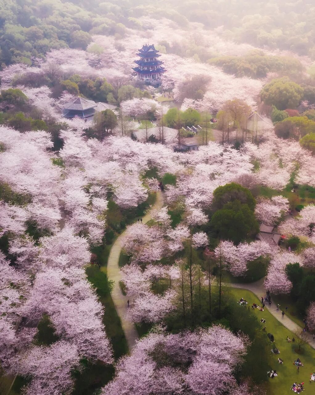 Image related to Zhuhai: China's Most Affluent "Belle" Rivaling Suzhou and Hangzhou in Beauty, Perfect for a Serene Getaway This March