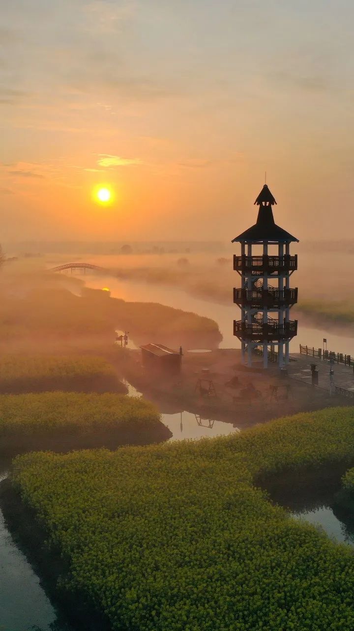 Image related to Taizhou: Jiangsu's Most Relaxing City – The Perfect Getaway When You Need a Break