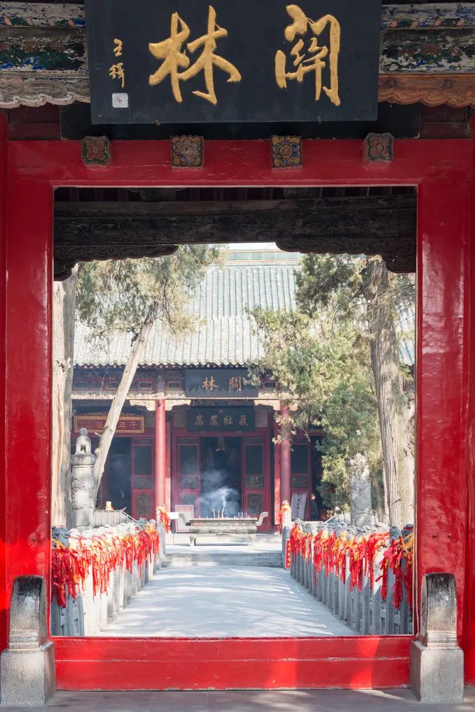 Image related to Luoyang: Ancient Capital Adorned with Fragrant Peonies, Recommended by China's Foreign Ministry to the World