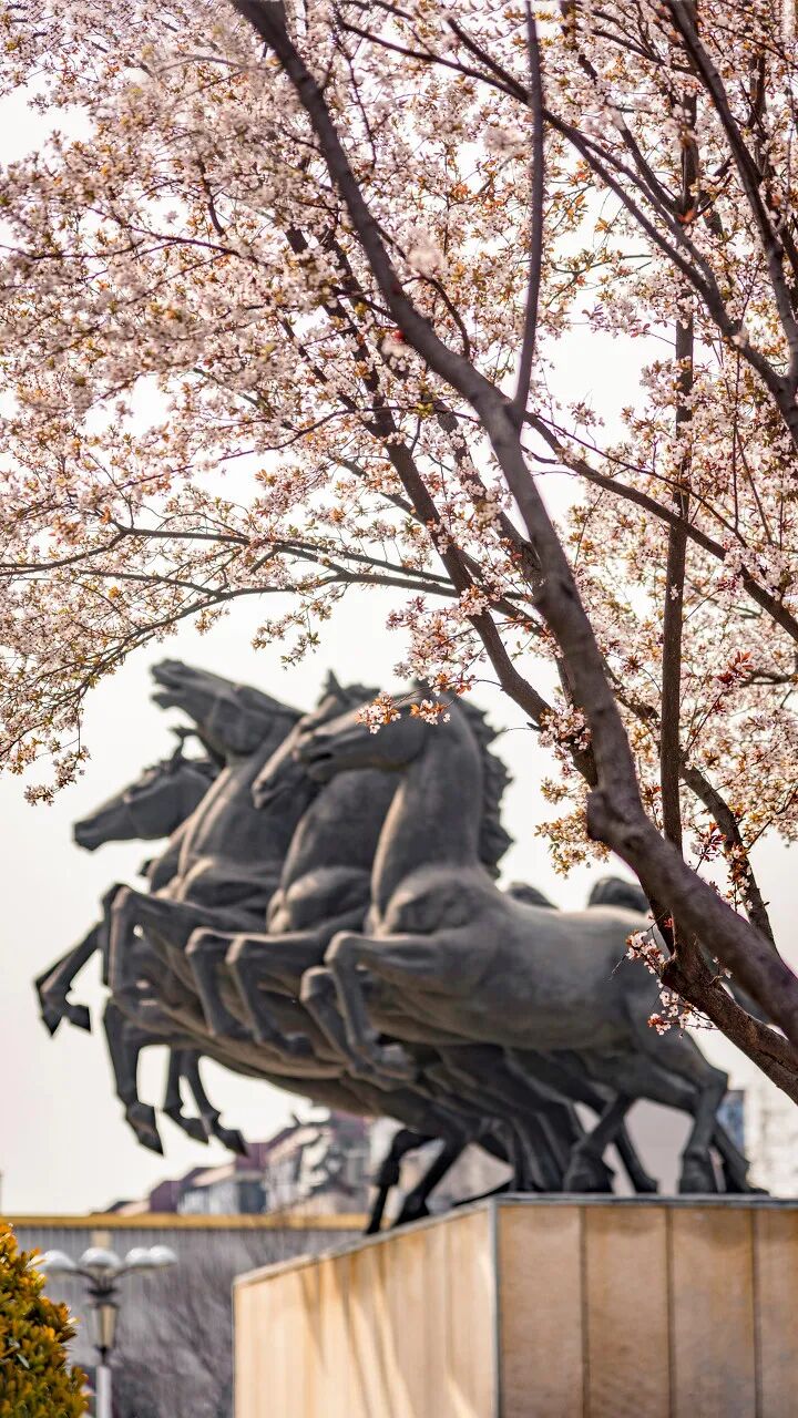 Image related to Luoyang: Ancient Capital Adorned with Fragrant Peonies, Recommended by China's Foreign Ministry to the World