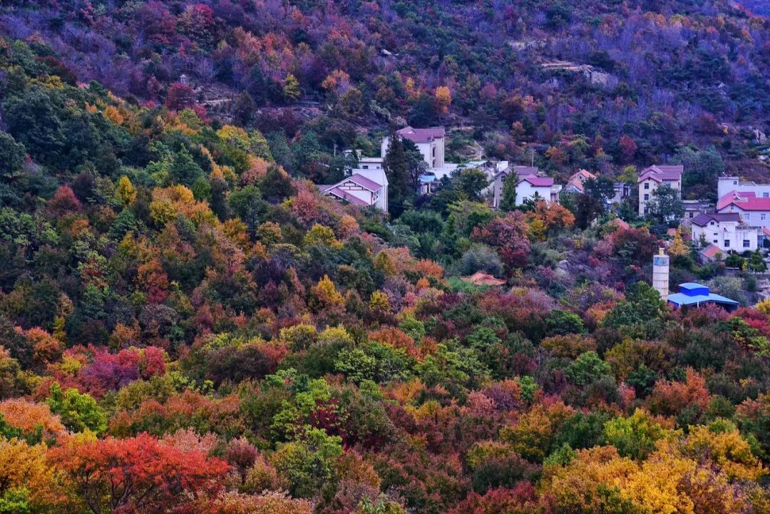 Image related to Lianyungang: This Forgotten Coastal Gem in Jiangsu Deserves the Spotlight!