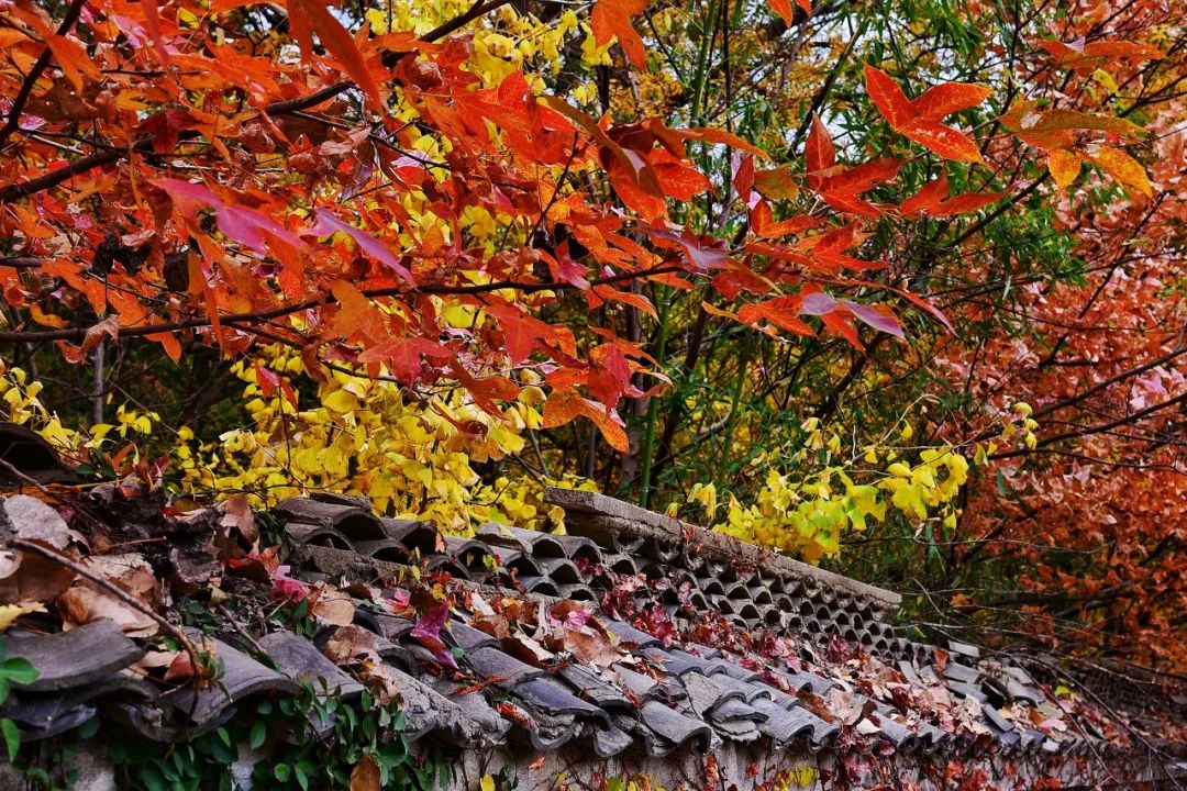 Image related to Lianyungang: This Forgotten Coastal Gem in Jiangsu Deserves the Spotlight!