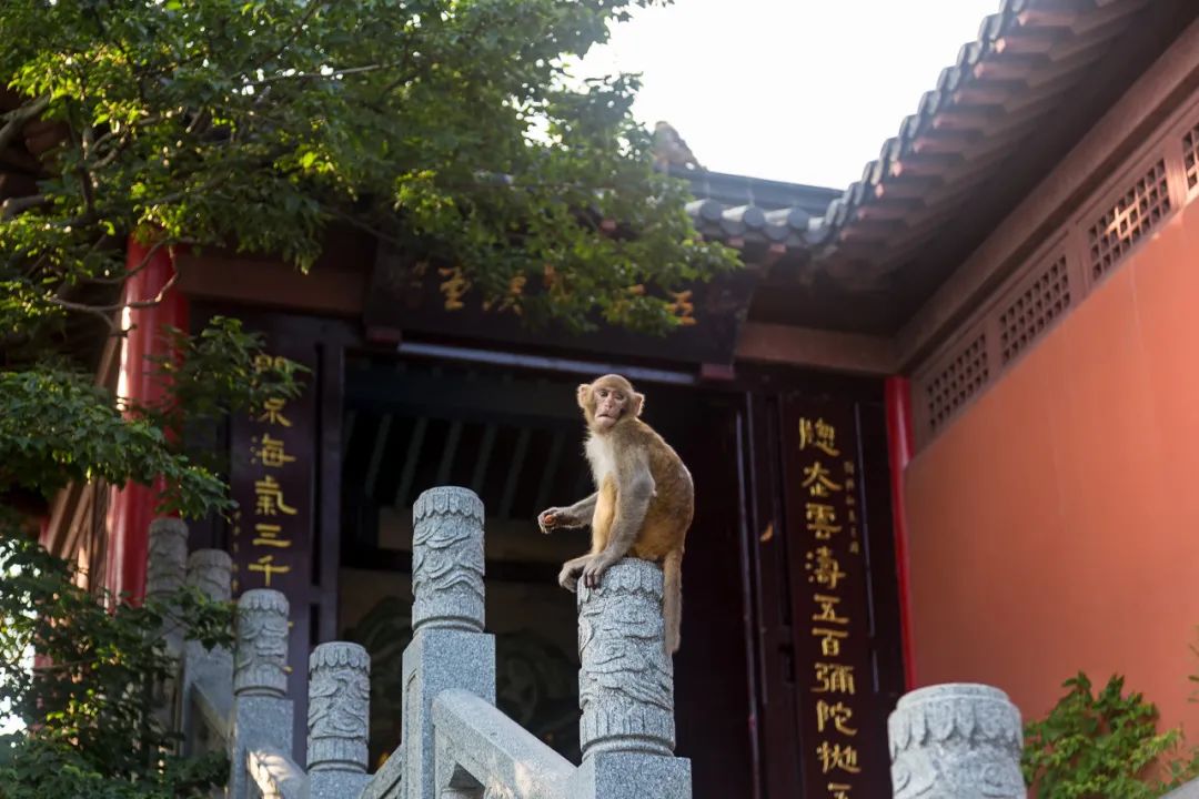 Image related to Lianyungang: This Forgotten Coastal Gem in Jiangsu Deserves the Spotlight!