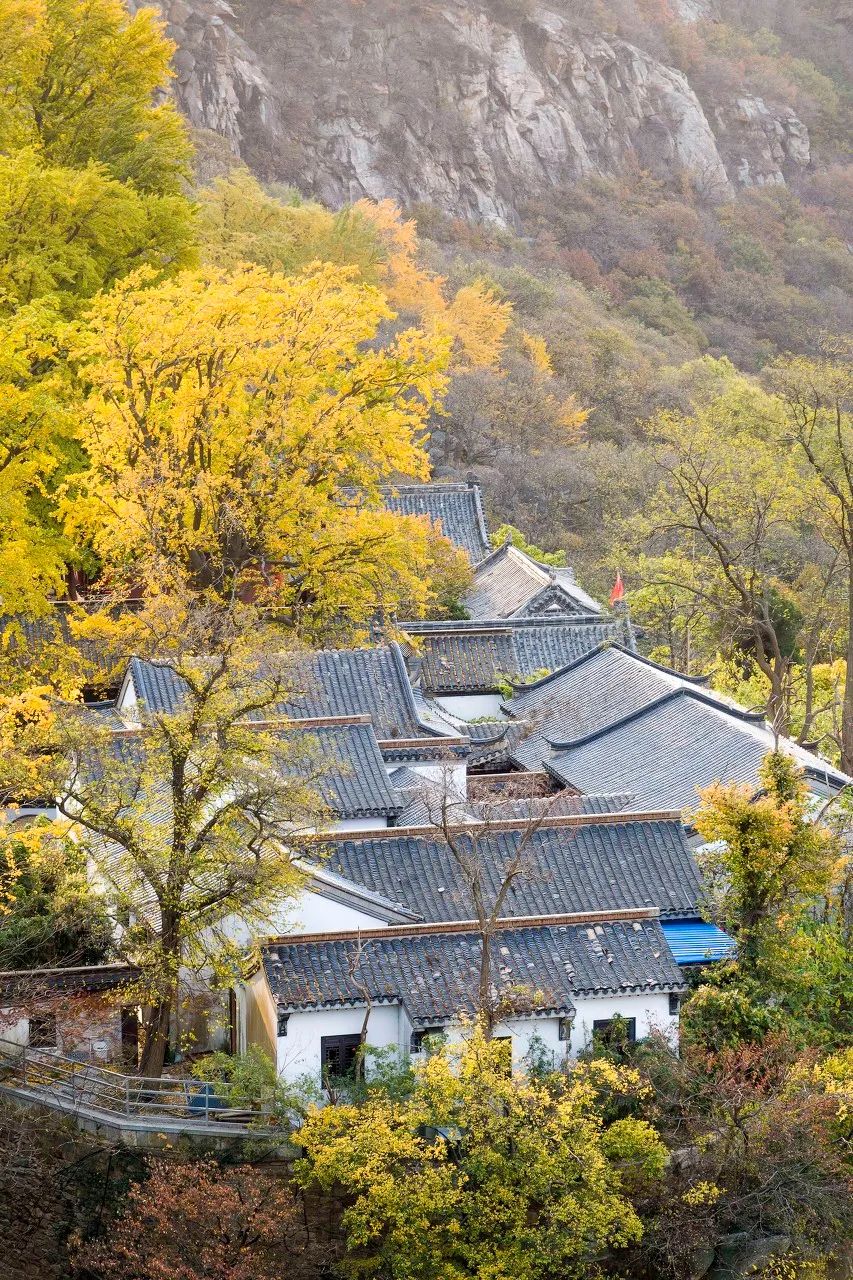 Image related to Lianyungang: This Forgotten Coastal Gem in Jiangsu Deserves the Spotlight!