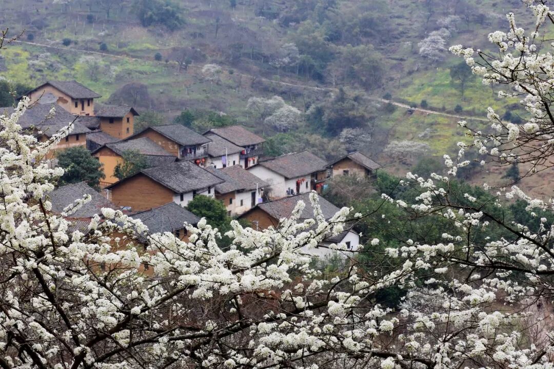 Image related to Liuzhou: Home of Luosifen! This Bowl of Noodles Conquers the World, with Scenery Rivaling Guilin Yet Unknown to Many