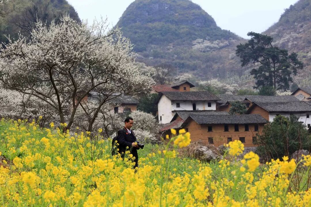 Image related to Liuzhou: Home of Luosifen! This Bowl of Noodles Conquers the World, with Scenery Rivaling Guilin Yet Unknown to Many