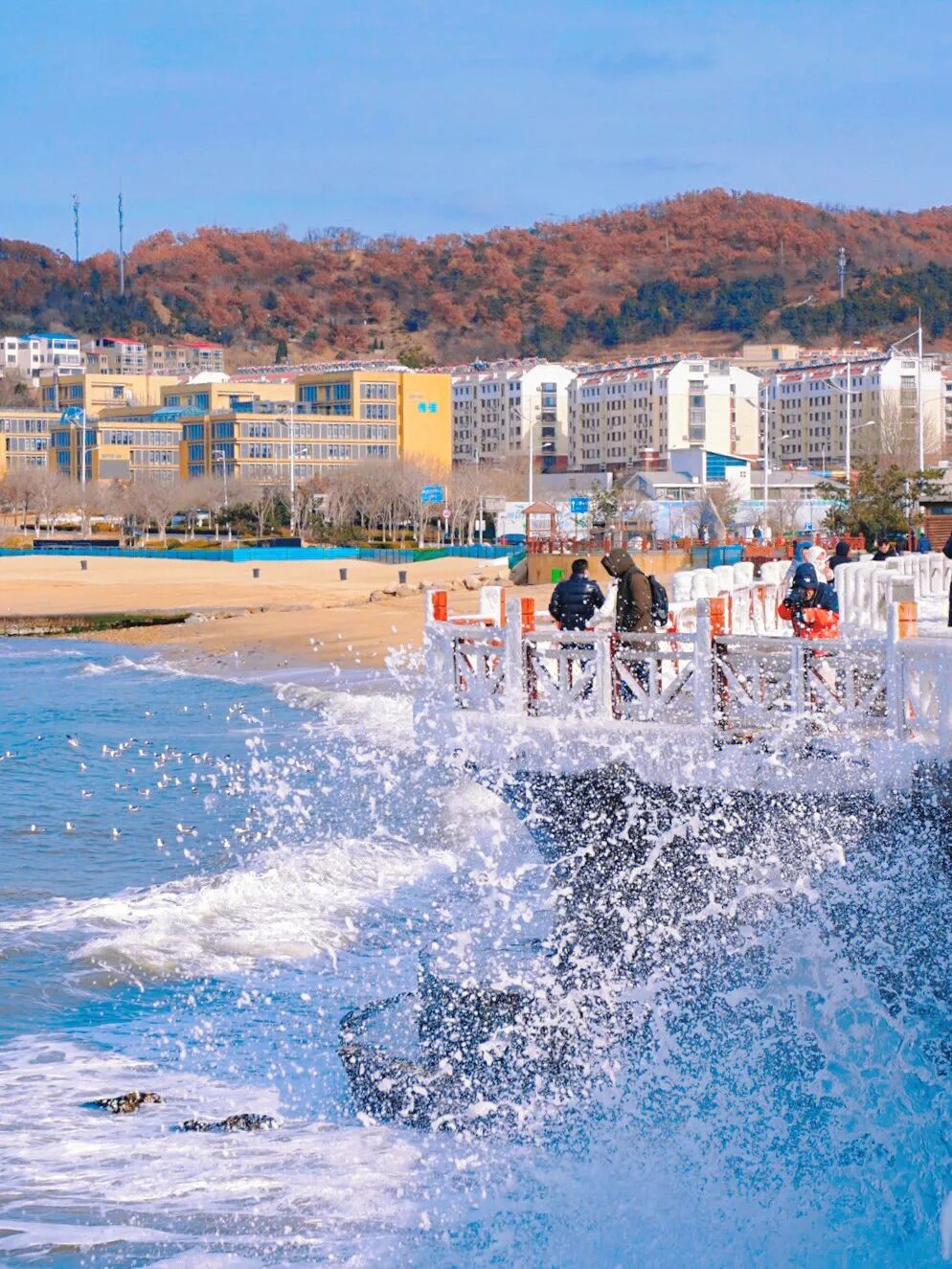 Image related to Weihai: The Most Romantic Winter Seaside City in Northern China with Snow, Mountains, Sea, and Delicious Food