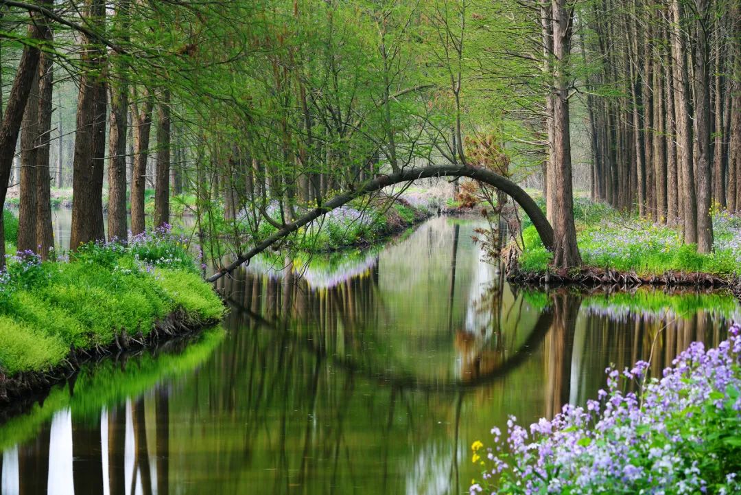 Image related to Taizhou: Jiangsu's Most Relaxing City – The Perfect Getaway When You Need a Break