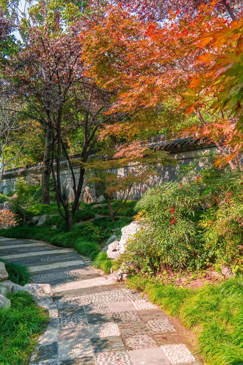 Image related to Taizhou: Jiangsu's Most Relaxing City – The Perfect Getaway When You Need a Break