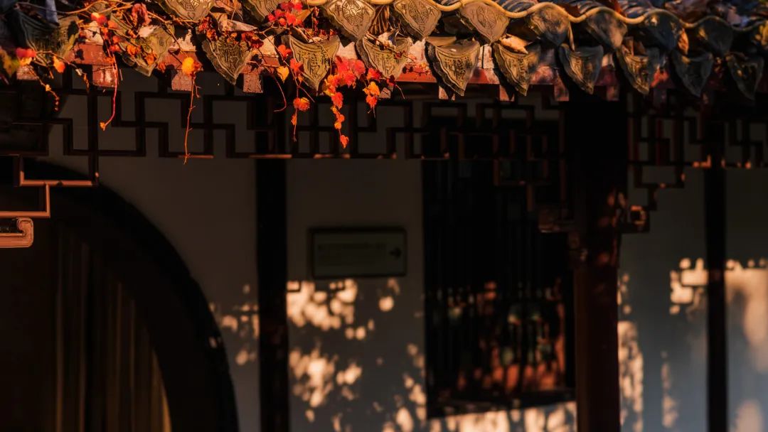 Image related to Taizhou: Jiangsu's Most Relaxing City – The Perfect Getaway When You Need a Break