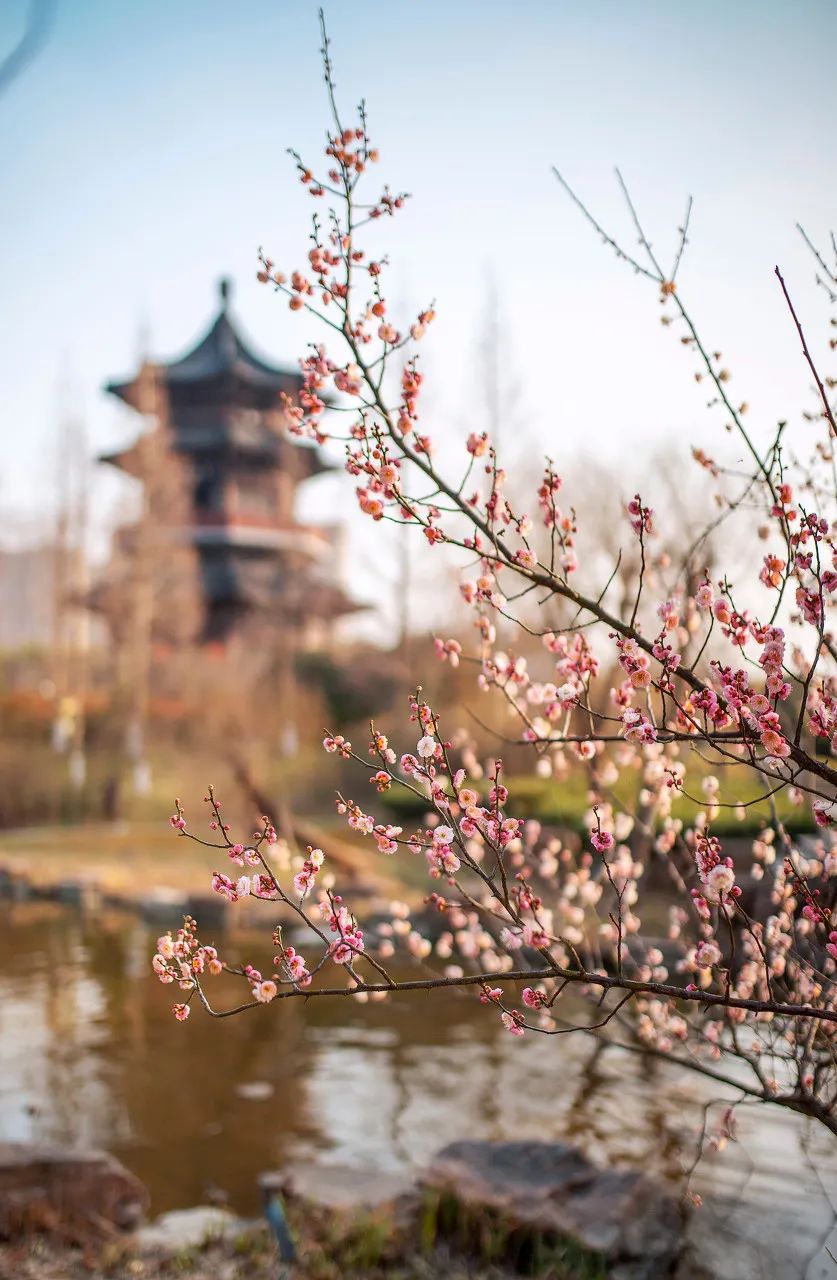 Image related to Taizhou: Jiangsu's Most Relaxing City – The Perfect Getaway When You Need a Break