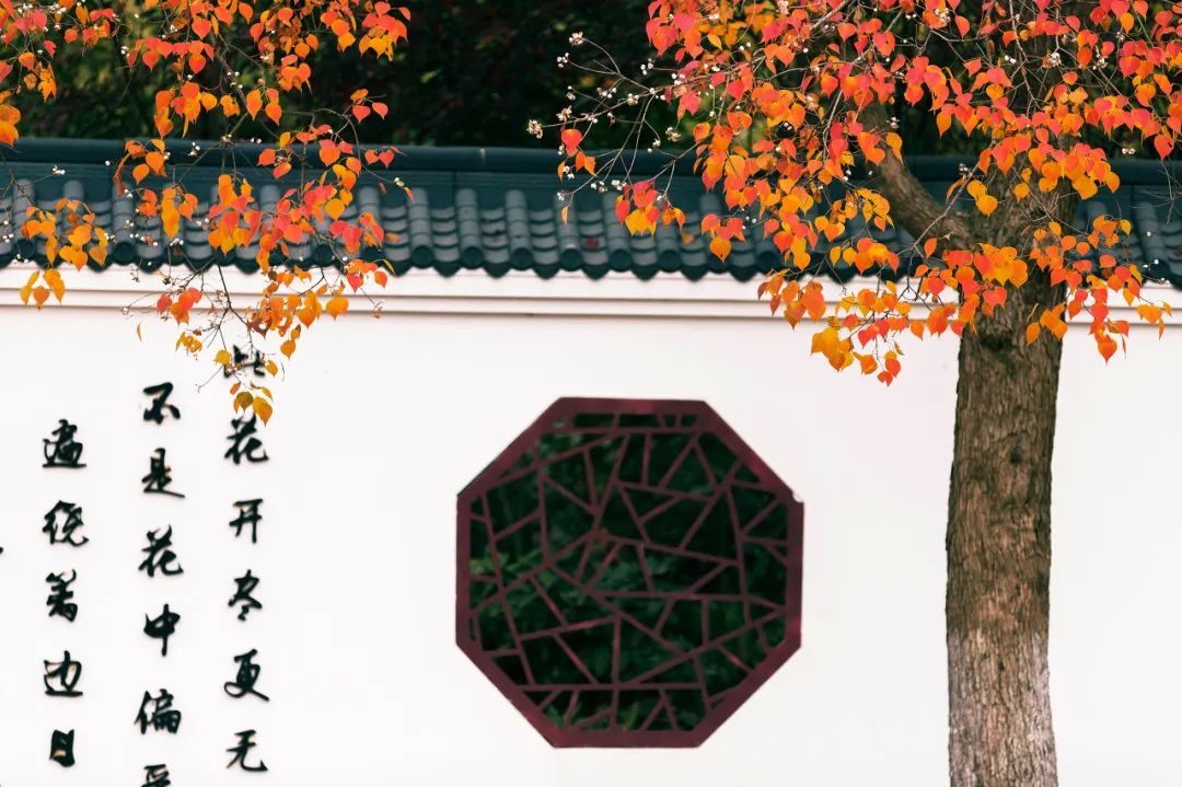 Image related to Taizhou: Jiangsu's Most Relaxing City – The Perfect Getaway When You Need a Break