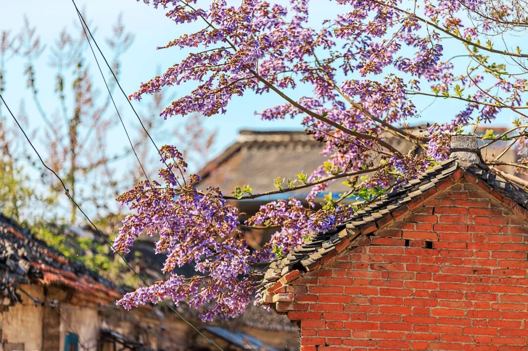 Image related to Taizhou: Jiangsu's Most Relaxing City – The Perfect Getaway When You Need a Break