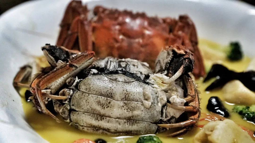 Image related to Taizhou: Jiangsu's Most Relaxing City – The Perfect Getaway When You Need a Break