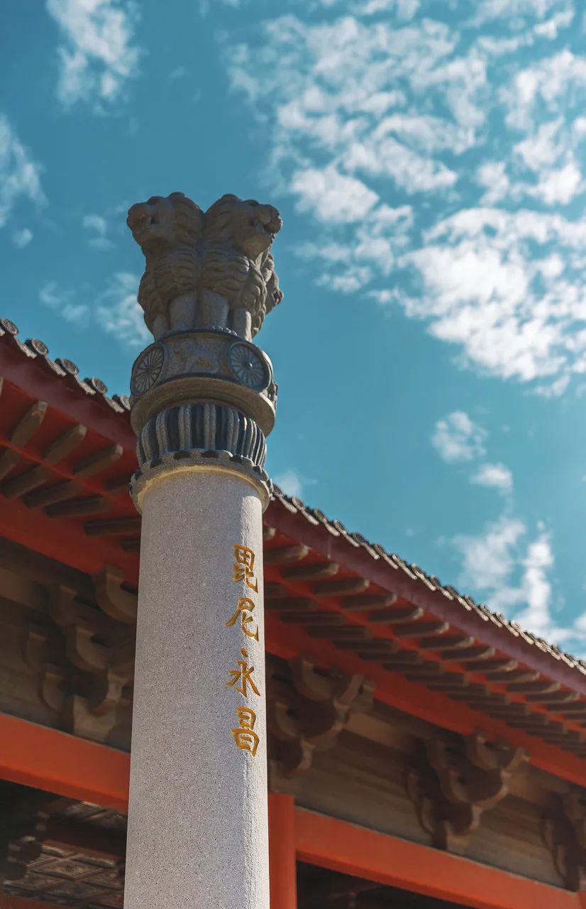 Image related to Taizhou: Jiangsu's Most Relaxing City – The Perfect Getaway When You Need a Break