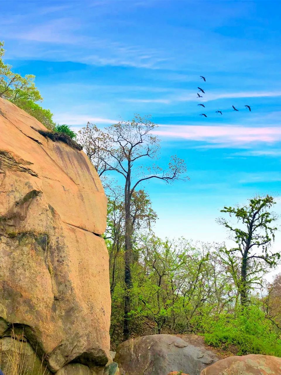 Image related to Lianyungang: This Forgotten Coastal Gem in Jiangsu Deserves the Spotlight!