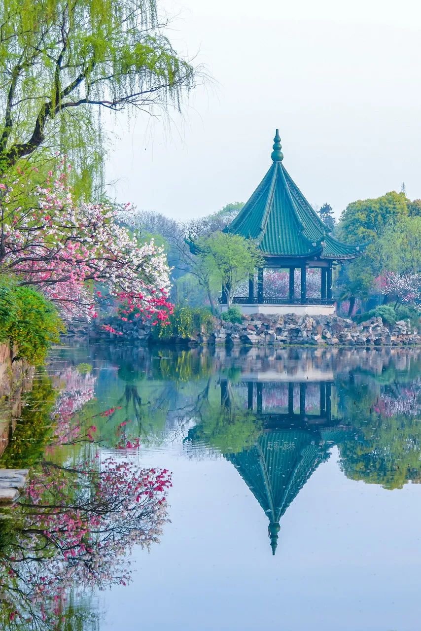 Image related to Zhuhai: China's Most Affluent "Belle" Rivaling Suzhou and Hangzhou in Beauty, Perfect for a Serene Getaway This March