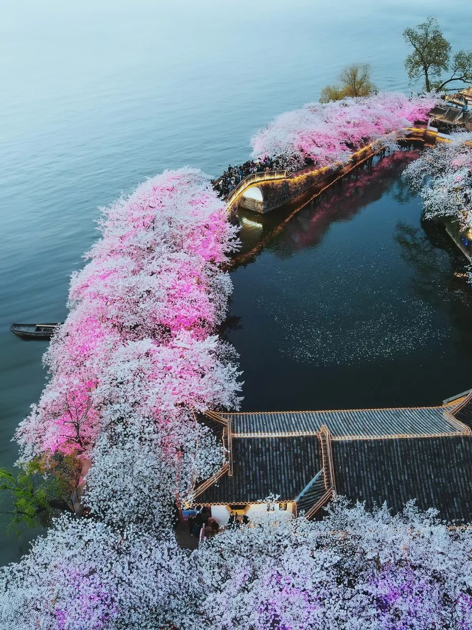 Image related to Zhuhai: China's Most Affluent "Belle" Rivaling Suzhou and Hangzhou in Beauty, Perfect for a Serene Getaway This March