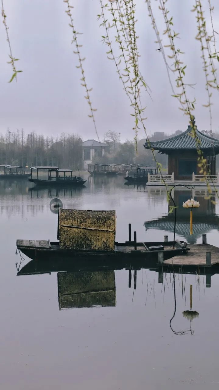 Image related to Zhuhai: China's Most Affluent "Belle" Rivaling Suzhou and Hangzhou in Beauty, Perfect for a Serene Getaway This March