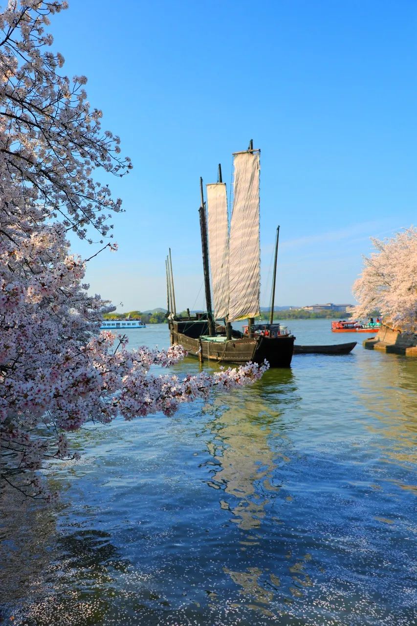 Image related to Zhuhai: China's Most Affluent "Belle" Rivaling Suzhou and Hangzhou in Beauty, Perfect for a Serene Getaway This March