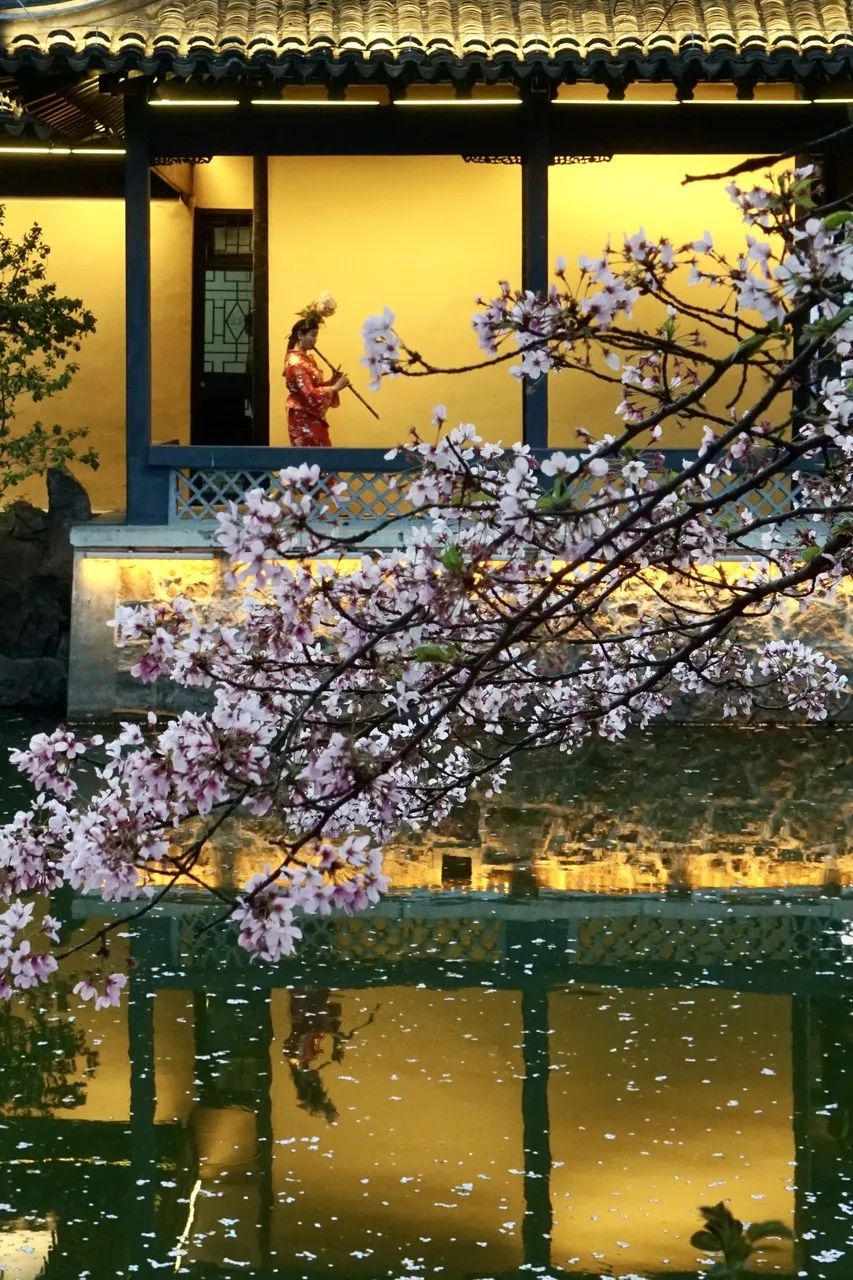 Image related to Zhuhai: China's Most Affluent "Belle" Rivaling Suzhou and Hangzhou in Beauty, Perfect for a Serene Getaway This March