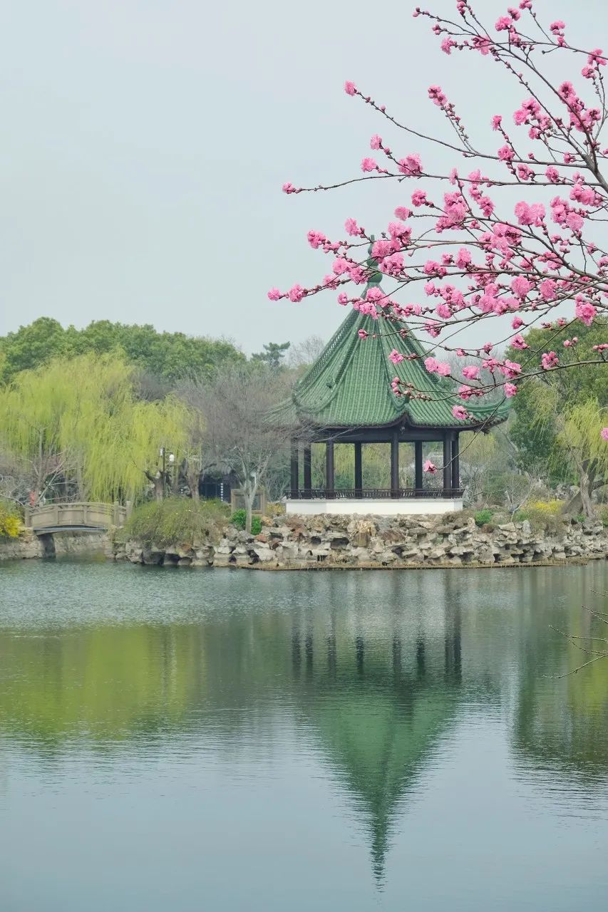Image related to Zhuhai: China's Most Affluent "Belle" Rivaling Suzhou and Hangzhou in Beauty, Perfect for a Serene Getaway This March
