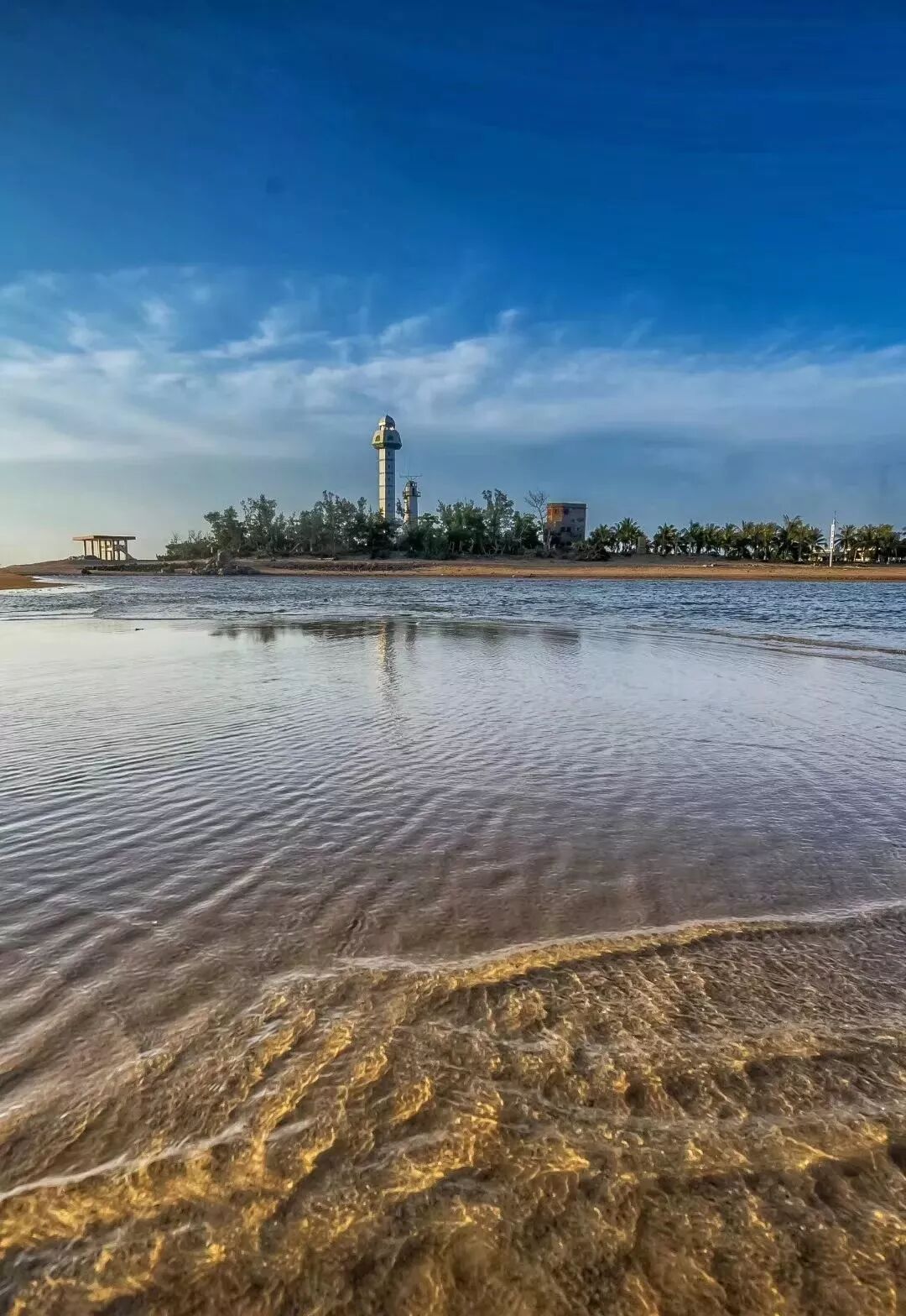 Image related to Zhanjiang: The Hidden Foodie Paradise Where $70 Buys 3 Days of Feasting – Wild Flavors Outshine Chaoshan, Gaining 8 Pounds in a Week is Worth It!