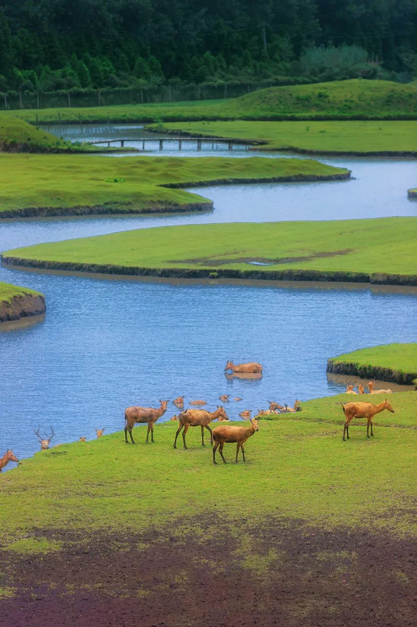 Image related to Taizhou: Jiangsu's Most Relaxing City – The Perfect Getaway When You Need a Break