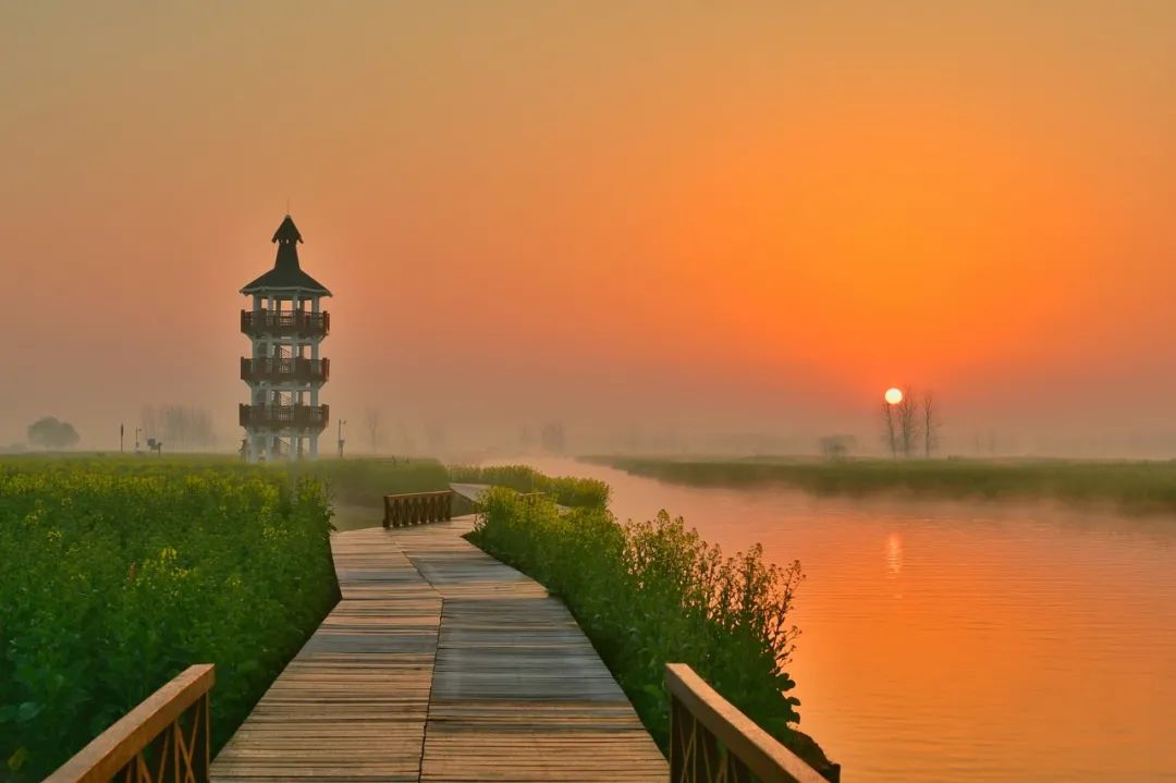 Taizhou: Jiangsu's Most Relaxing City – The Perfect Getaway When You Need a Break